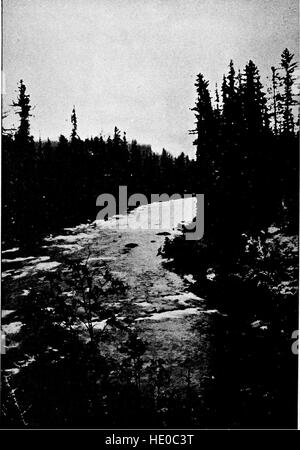 La vegetazione delle frontiere Siberian-Mongolian (la regione Sayansk) (1921) Foto Stock