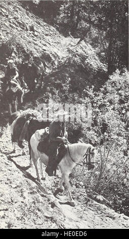 Gli utenti di deserto nel nord-ovest del Pacifico- le loro caratteristiche, i valori e le preferenze di gestione (1968) Foto Stock