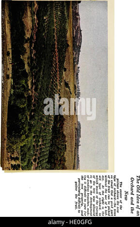 Luther Burbank, i suoi metodi e scoperte e la loro applicazione pratica; (1914) Foto Stock