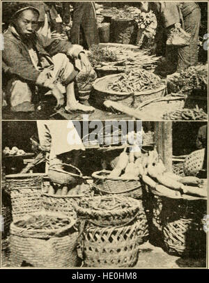 Gli agricoltori di quaranta secoli; o permanente di agricoltura in Cina, Corea e Giappone (1900) Foto Stock