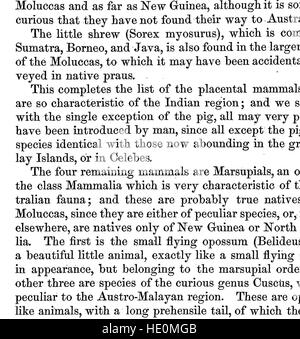 L'arcipelago malese - la terra del oranguatan, e l'uccello del paradiso. Un racconto di viaggio, con studi di uomo e natura (1869) Foto Stock