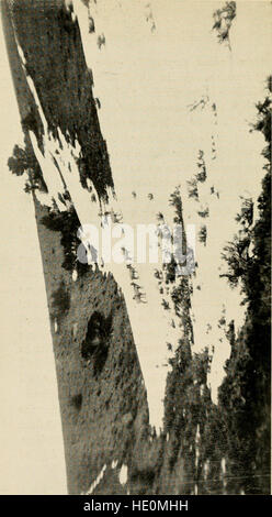 American big game nella sua tormenta; il libro di Boone e Crockett club (1904) Foto Stock