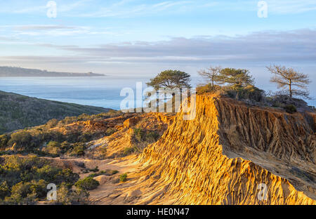 Broken Hill e vista oceano. Torrey Pines Riserva Naturale Statale a La Jolla, San Diego, California, USA. Foto Stock