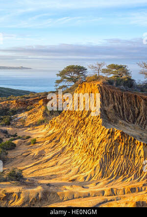 Broken Hill e vista oceano. Torrey Pines Riserva Naturale Statale a La Jolla, San Diego, California, USA. Foto Stock