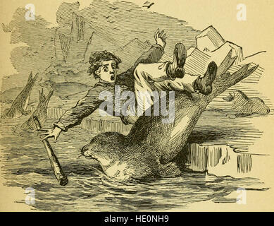 Gettare via nel freddo - un vecchio uomo della storia di un giovane uomo di avventure, come riferito dal capitano John Hardy, mariner (1868) Foto Stock