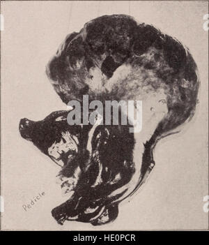 Le 1912 transazioni dell'American Association of Obstetricians and Gynecologists documentano gli ultimi progressi, i risultati della ricerca e le discussioni nei campi dell'ostetricia e della ginecologia. Foto Stock