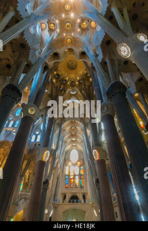 Le colonne dell'interno della Sagrada Familia, progettato da Gaudí, a Barcellona, Spagna si presenta come una foresta di alberi di calcestruzzo. Foto Stock