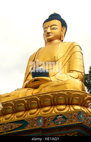 Statua dorata di Buddha, Swayambhu Nath temple, Kathmandu, Nepal Foto Stock