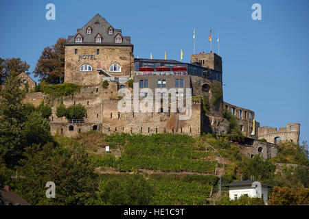 Rheinfels Castello, St. Goar, Renania-Palatinato, Germania Foto Stock
