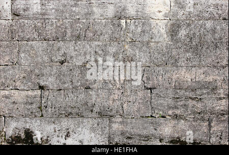 La texture muro di pietra Gatchina Palace, costruito di Pudozh - prodotta intorno al quartiere villaggio Pudost, xvii secolo Foto Stock