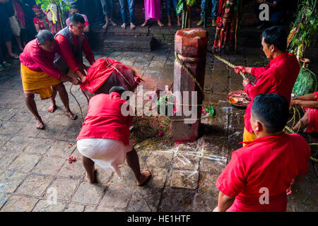 Un sacerdote è sacrificare un bufalo indiano di acqua mediante il taglio della sua testa con una grande spada presso il tempio di Gorakhnath presso il festival indù, darsain Foto Stock