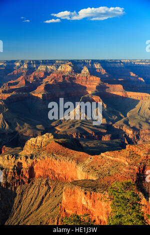Un tardo pomeriggio vista verticale da Mather Point delle formazioni spettacolari nel Parco Nazionale del Grand Canyon, Arizona, Stati Uniti d'America Foto Stock