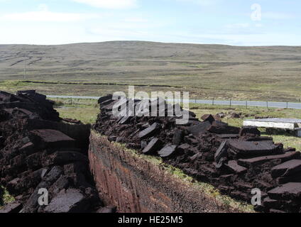 Pile di torba di essiccazione al sole yell Shetland Scozia giugno 2014 Foto Stock