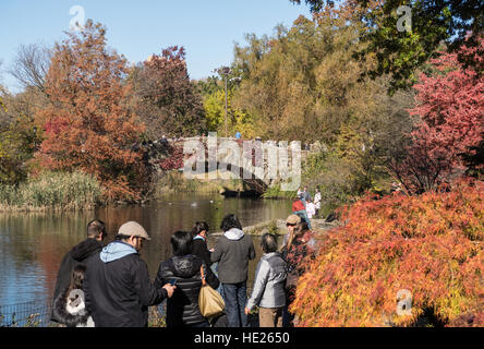 Lo stagno e Gapstow Bridge, al Central Park di New York Foto Stock