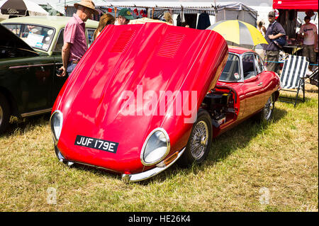 Ispezionare il motore di una vecchia Jaguar " E " sport di tipo berlina in occasione di una mostra Foto Stock