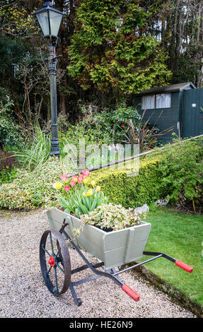 Un ex fattoria attuare ora utilizzato come un mobile piantatrice floreale in un privato Cornish garden Foto Stock