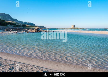 Stintino spiaggia de la pelosa in una soleggiata giornata di vento di inverno, Sardegna Foto Stock