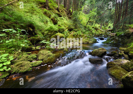 Swift mountain creek in una profonda valle verde Foto Stock