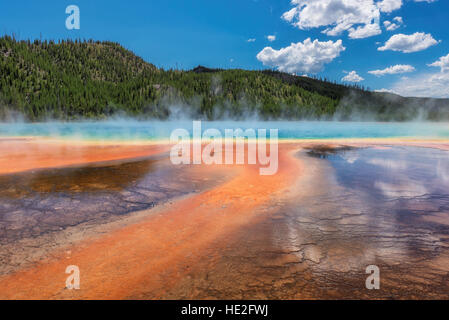 Bella piscina termale Grand Prismatic Spring nel Parco Nazionale di Yellowstone Foto Stock