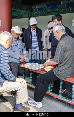 Locali cinesi xiangqi riproduzione o scacchi cinesi presso il Tempio del Paradiso, altare del cielo di Beijing in Cina. Foto Stock