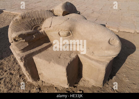 Tutankhamon Avenue di Sphinx che conduce dal decimo pilone del Tempio di Karnak al tempio di Mut a Luxor, Egitto, Nord Africa Foto Stock