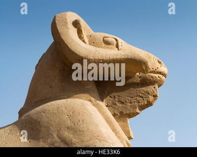 Tutankhamon Avenue di Sphinx che conduce dal decimo pilone del Tempio di Karnak al tempio di Mut a Luxor, Egitto, Nord Africa Foto Stock