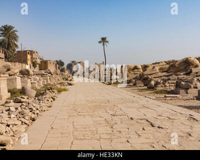 Tutankhamon Avenue di Sphinx che conduce dal decimo pilone del Tempio di Karnak al tempio di Mut a Luxor, Egitto, Nord Africa Foto Stock