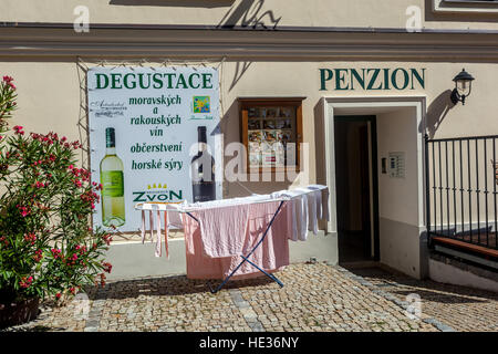 La pensione offre degustazione di Moravian e vini austriaci e formaggi, Città Vecchia, Znojmo, Sud Moravia Repubblica Ceca, Foto Stock
