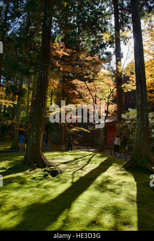 Foglie di autunno a Sanzen-nel tempio, O'hara, prefettura di Kyoto, Giappone Foto Stock
