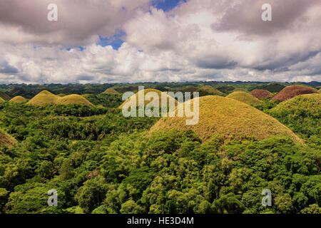 Chocolate Hills monumento geologico sull isola di Bohol, Filippine. Foto Stock