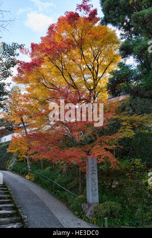Foglie di autunno a Sanzen-nel tempio, O'hara, prefettura di Kyoto, Giappone Foto Stock