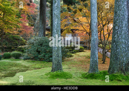 Ojo-Gokuraku-in presso Sanzen-nel tempio, O'hara, prefettura di Kyoto, Giappone Foto Stock