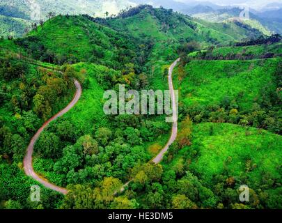Vista aerea su strada di montagna passando attraverso il paesaggio forestale Foto Stock