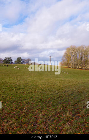 Il Palazzo di Blenheim,motivi,camere di stato,giardini formali,Country Estate,Casa di Sir Winston Churchill,Woodstock,Oxon,Gran Bretagna Foto Stock