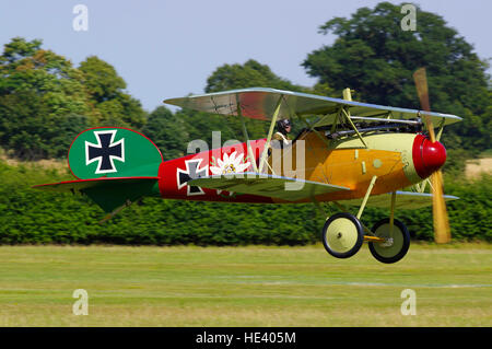 Albatross DVa presso Old Warden airfield, Foto Stock