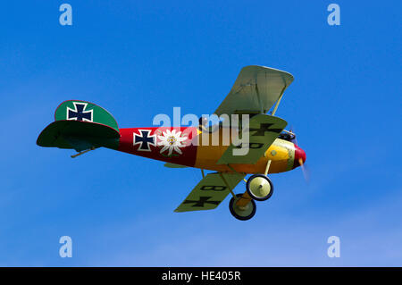 Albatross DVa presso Old Warden airfield, Foto Stock