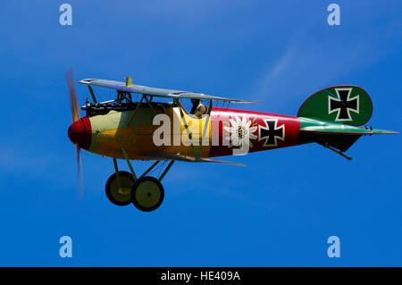 Albatross DVa presso Old Warden airfield, Foto Stock