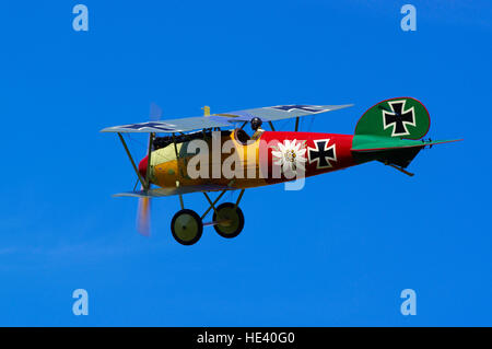 Albatross DVa presso Old Warden airfield, Foto Stock