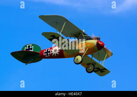 Albatross DVa presso Old Warden airfield, Foto Stock