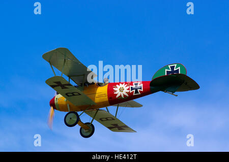 Albatross DVa presso Old Warden airfield, Foto Stock