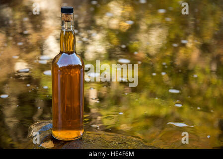 Bottiglia di whiskey al malto da un altopiano di fiume, Scozia. Regno Unito Foto Stock