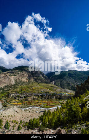 Vista aerea sul villaggio manang e il paesaggio agricolo della tomaia marsyangdi valley con terrazza campi Foto Stock