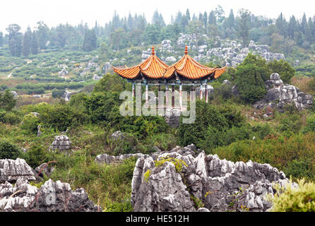 Stile cinese gazebo tra il paesaggio naturale. Foto Stock