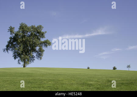 Campo da Golf Auf der Gsteig, sul Gsteig in Lechbruck am See, Allgaeu, Bavaria Foto Stock