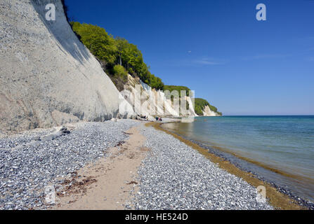 Chalk costa, Jasmund National Park, Mar Baltico, Sassnitz, Rügen, Meclemburgo-Pomerania, Germania Foto Stock