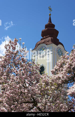 Chiesa Buergerspitalkirche, Waidhofen an der Ybbs, Mostviertel, Bassa Austria e Europa Foto Stock