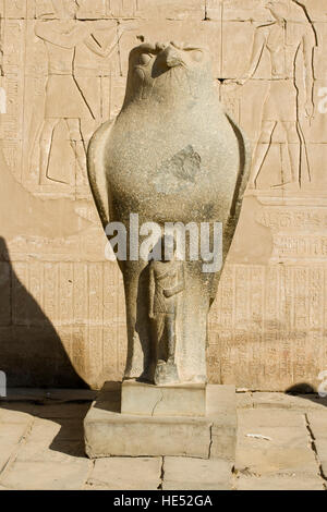 Falcon statua del dio Horus, primo pilone, Tempio di Horus Edfu, Luxor, la Valle del Nilo, Egitto, Africa Foto Stock