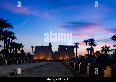 Primo pilone con il viale delle Sfingi, Tempio di Luxor e di notte, Luxor, la valle del Nilo, Egitto, Africa Foto Stock