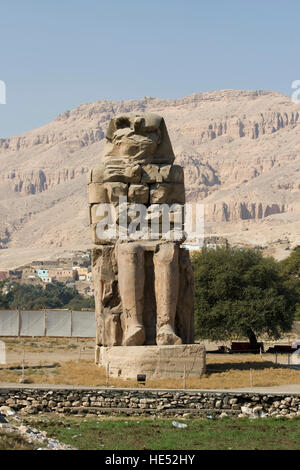 Colosso di Memnon, West Bank, Luxor, la Valle del Nilo, Egitto, Africa Foto Stock