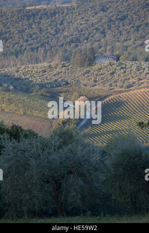 Colline Toscane e la campagna da Santa Lucia road, San Gimignano, Toscana, Italia. Foto Stock